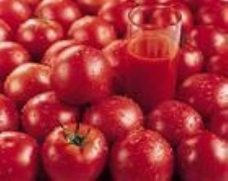 Lycopersicon Esculetum Extract  